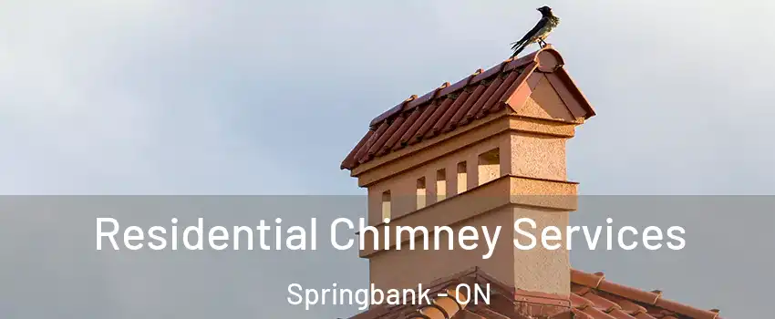  Residential Chimney Services Springbank - ON