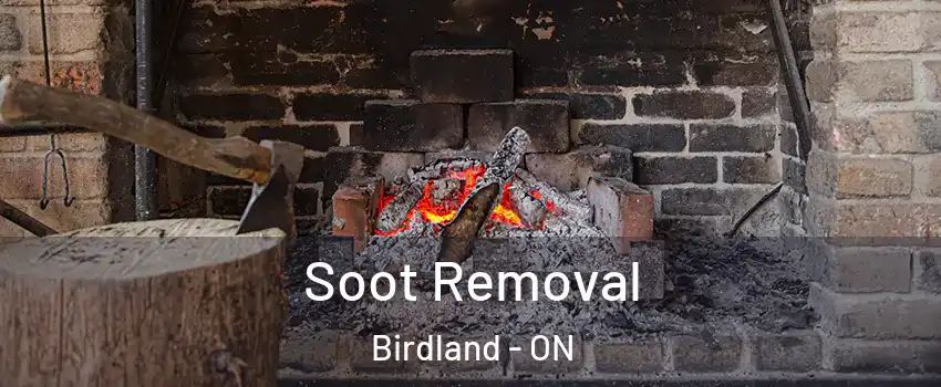  Soot Removal Birdland - ON