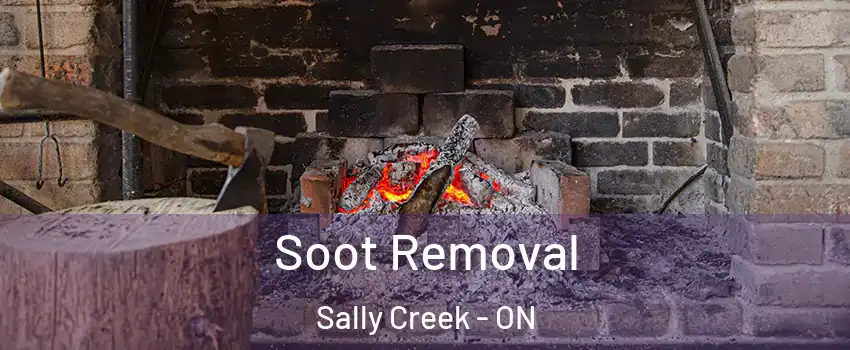  Soot Removal Sally Creek - ON