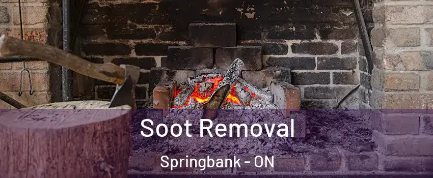  Soot Removal Springbank - ON