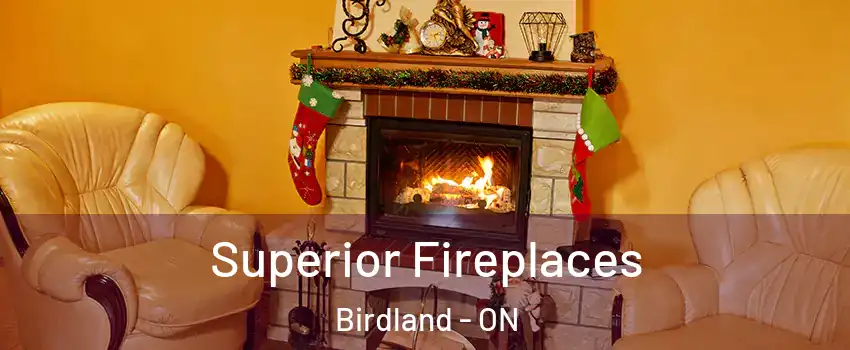  Superior Fireplaces Birdland - ON