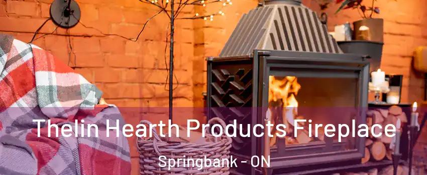  Thelin Hearth Products Fireplace Springbank - ON