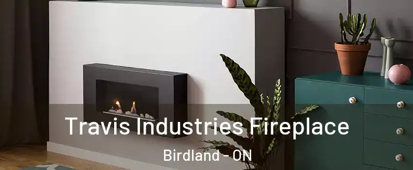  Travis Industries Fireplace Birdland - ON