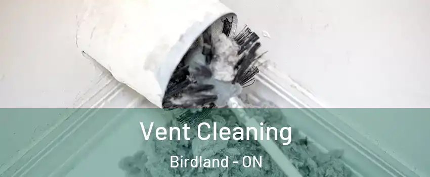 Vent Cleaning Birdland - ON