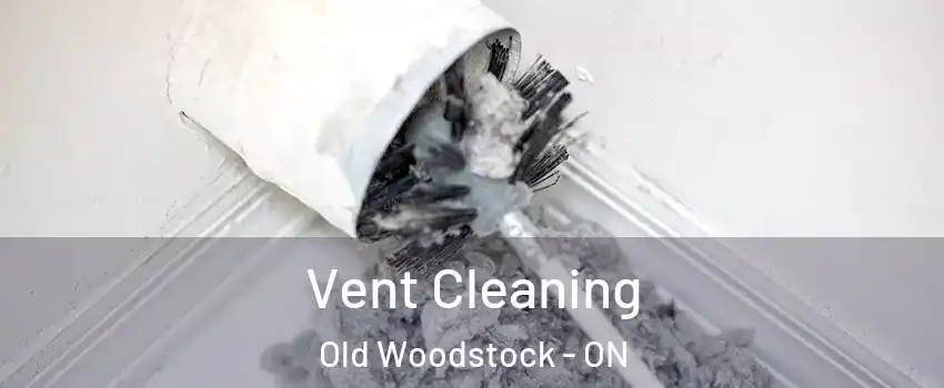  Vent Cleaning Old Woodstock - ON