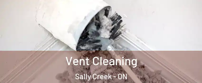  Vent Cleaning Sally Creek - ON