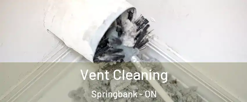  Vent Cleaning Springbank - ON