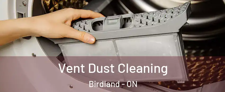 Vent Dust Cleaning Birdland - ON