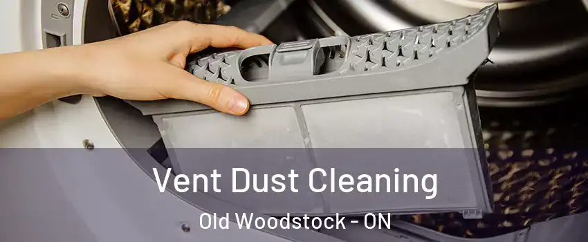  Vent Dust Cleaning Old Woodstock - ON