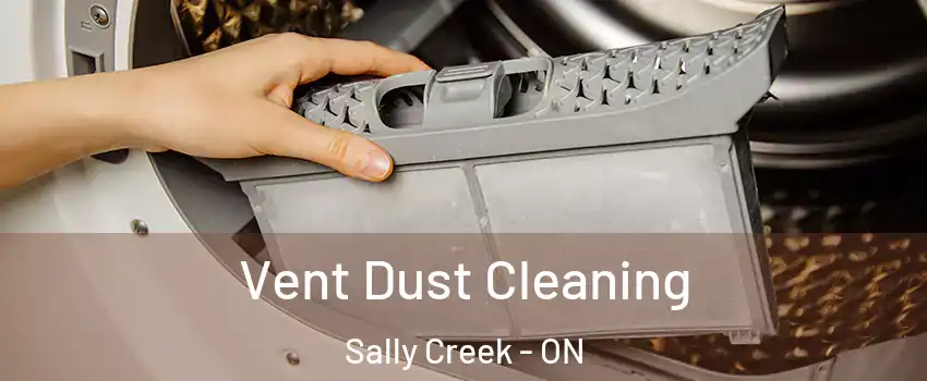  Vent Dust Cleaning Sally Creek - ON