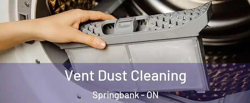  Vent Dust Cleaning Springbank - ON