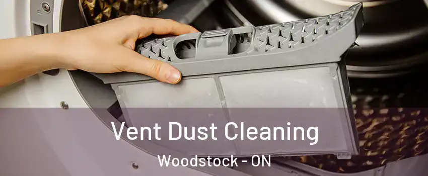  Vent Dust Cleaning Woodstock - ON