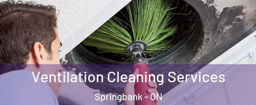  Ventilation Cleaning Services Springbank - ON