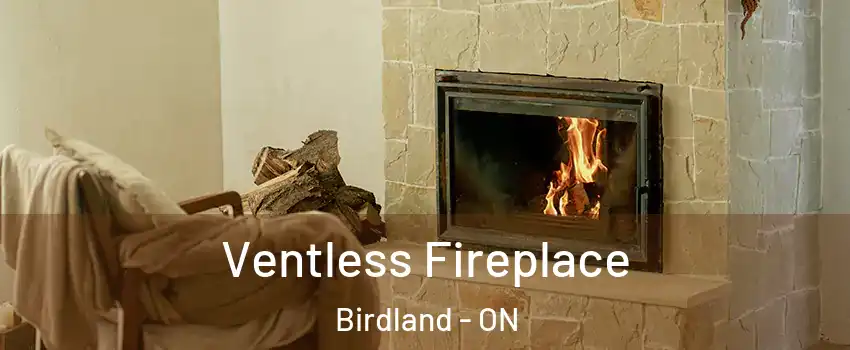  Ventless Fireplace Birdland - ON