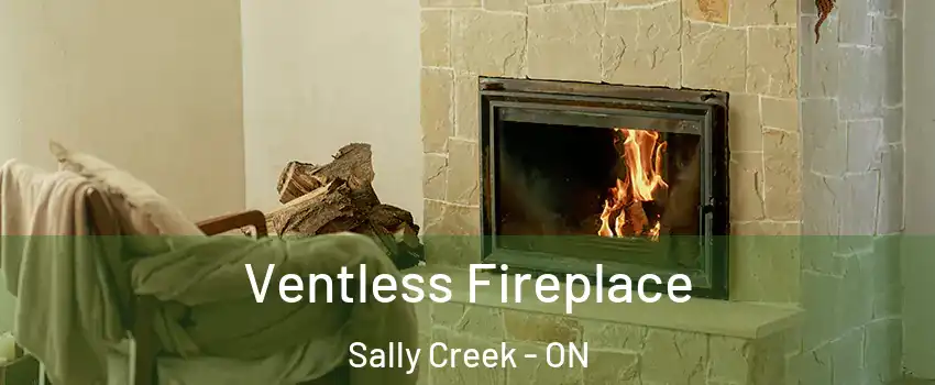  Ventless Fireplace Sally Creek - ON