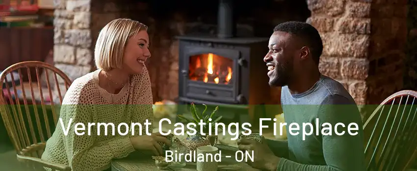  Vermont Castings Fireplace Birdland - ON