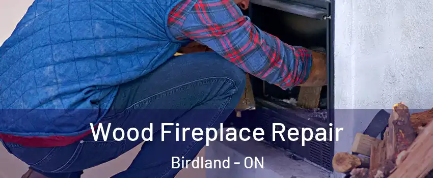  Wood Fireplace Repair Birdland - ON