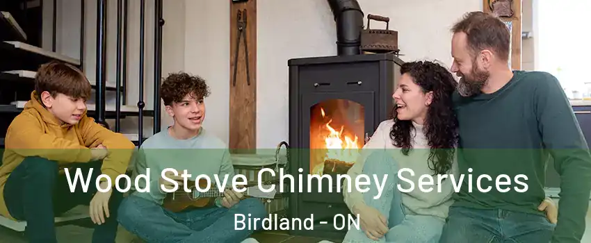  Wood Stove Chimney Services Birdland - ON