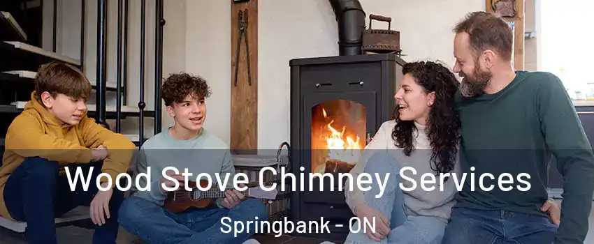  Wood Stove Chimney Services Springbank - ON