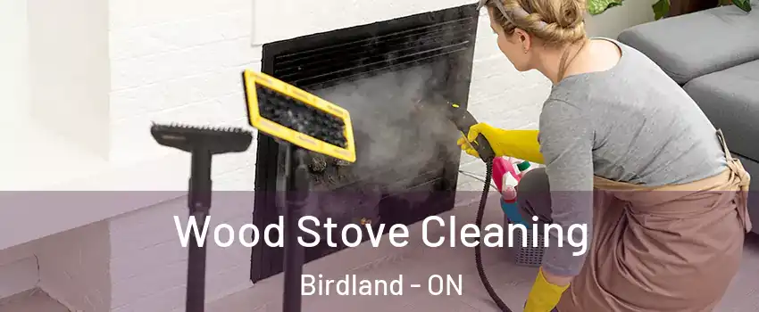  Wood Stove Cleaning Birdland - ON