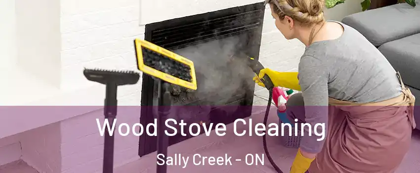  Wood Stove Cleaning Sally Creek - ON