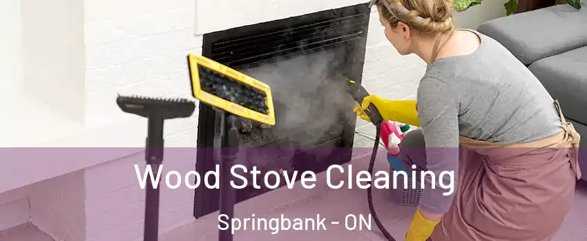  Wood Stove Cleaning Springbank - ON