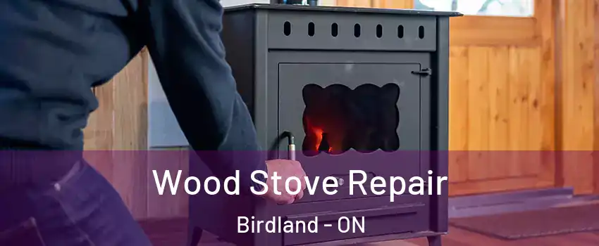  Wood Stove Repair Birdland - ON